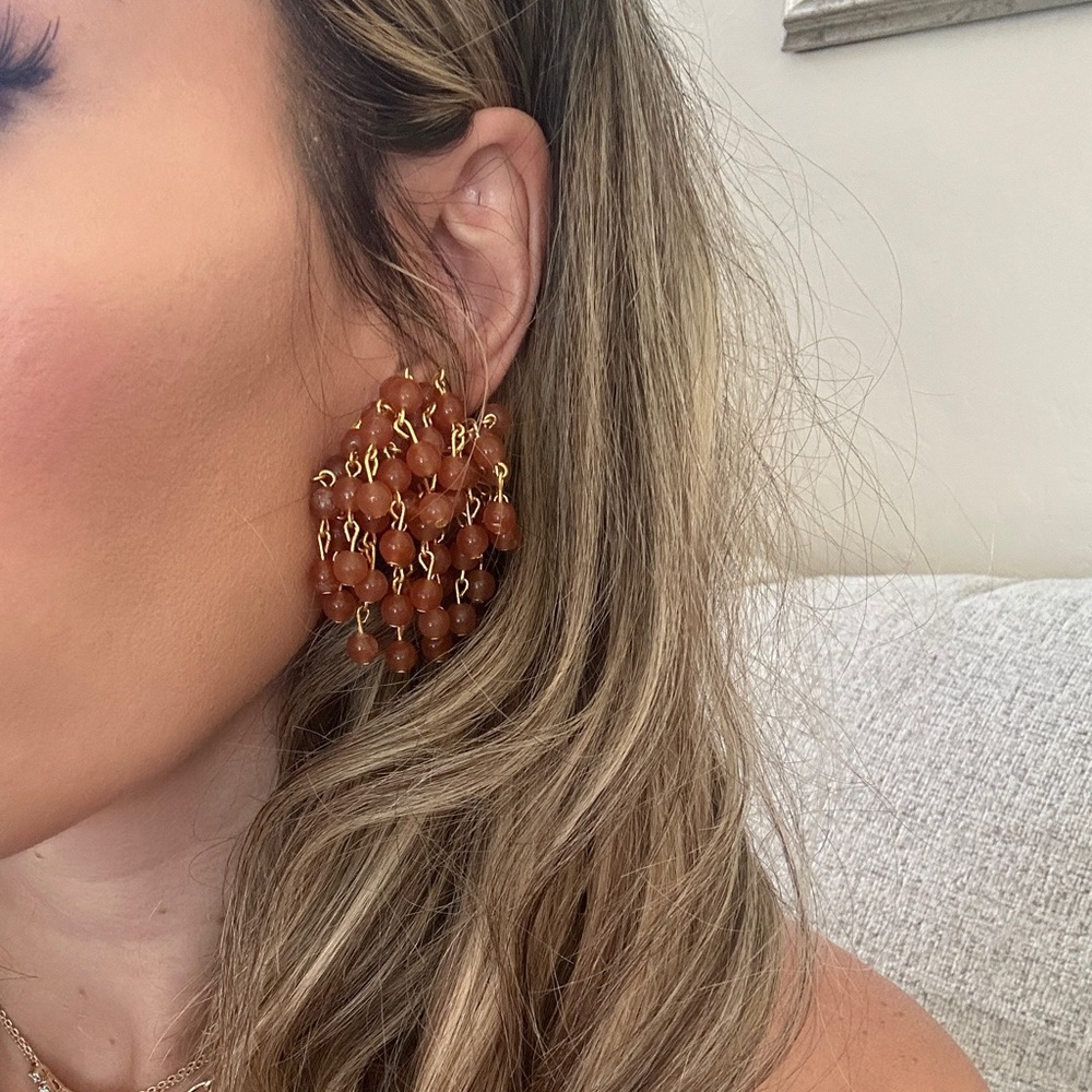 Elegant Gold and Brown Beaded Earrings